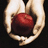 Two hands cupping a red apple against a black background with pixelated text reading 'Be my Edward', 'So we can love forever', 'I love Vampires'