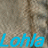 Two side-by-side pixelated images of a stone statue with closed eyes and a neutral expression, each displaying the word 'Lohla' in distinct colors.