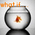A four- shows a fishbowl with orange text changing , depicting the phrase 'what if... the fish ate the duck??'