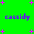 Green background with purple text 'cassidy' repeated four times and scattered pink plus signs.