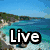 A four- shows a coastal landscape, two teddy bears, a smiley face, and a blank space with text overlays reading Live, To, Life