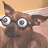 Pixelated dog with large round glasses on a split background of red and gray, displaying blue text.