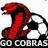 Red snake coiled around black-and-white soccer ball with 'GO COBRAS' text below, pixelated style on white background