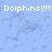 Pixelated blue background with white text 'Dolphins!!!!!!' and multiple dolphin silhouettes in lighter blue tones.
