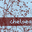 A static image of a repeating pattern with the word 'chelsea' in white text on dark red bars over a light blue background with brown branching lines.