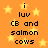 Pixelated orange background with yellow stars and repeated text "i luv CB and salmon cows" in black block letters.