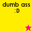 Four display "dumb ass :D" text with a star icon changing color between yellow and pink backgrounds