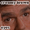 nine showing a man's face with varying expressions and overlaid text, including 'creamy brown eyes', 'Military intelligence', 'to die for butt', and 'the best?'