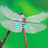 A dragonfly perched on a brown stem against green foliage, with cyan text overlays changing across frames.