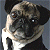 A pixelated image of a pug dog wearing a black tie on the left side, next to green text reading "Original Icons .com" on a dark green background.