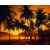 Static pixelated image of a sunset scene with orange and yellow hues, dark silhouettes of palm trees against the sky, and reflective water below.