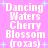 Pixelated text on pink background with light blue stars, showing 'Dancing Waters Cherry Blossom (roxas)' repeated in two with slight variations in text brightness and star placement