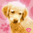 Pixelated dog with light brown fur and pink paw print on left side, next to text reading "Puppies are always cute, they will forever!!" in black block letters.