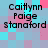 Pixelated text 'Caitlynn Paige stanaford' appears in four identical positions on a cyan and pink checkered background with visible pixelation