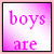 Four square display text on gradient backgrounds with distinct color schemes and fonts