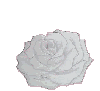 A 4x3 contact sheet of a rose animation showing progressive coloration from white to deep pink across ten frames.