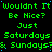 Green text on black background repeats 'Wouldnt It Be Nice?', 'Just', 'Saturdays', 'Sundays', and 'Sundays' in a pattern with blue pixel dots