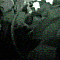 A grayscale animated sequence shows a person's face with short hair, transitioning from a neutral expression to a bright white glow across the eyes and forehead.