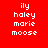 Pixelated text 'ily haley marie moose' appears in white on red and pink backgrounds with a white lower section.