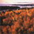 A static pixelated image with a gradient sky transitioning from light purple to white above a dark horizon line, featuring a dense cluster of orange and brown pixelated shapes below.