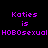 Pixelated text displays 'Koties is HOBOsexual' in purple on black background with pink rectangular overlays shifting positions.