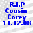 Blue text on a light gray pixelated background reads R.i.P Cousin Corey 11.12.08 in four identical