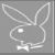 Animated sequence showing a Playboy bunny icon with varying background colors and text overlays.