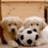 Two pixelated cartoon dogs with white and brown fur sit side-by-side on a light wooden surface, facing forward.
