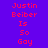 Pixelated text on a purple background with yellow highlight boxes, displaying 'Justin Beiber Is So Gay' in red and white lettering.