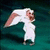 Animated icon shows a white rabbit-like creature with pink ears against dark green background, accompanied by pixelated text on blue