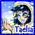 Animated contact sheet of a pixel art faerie character with blue eyes and dark hair, wearing a hooded outfit against a snowy background, labeled "Taelia" in varying text colors across frames.
