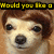 Two pixelated dog faces with brown hair and black eyes, each displaying different expressions under yellow text reading "Would you like a" and "Bulls with that?"