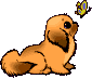 Pixelated orange dog with brown ears and tail sits facing left, watching a yellow butterfly above its head.
