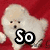 Four- of dogs with text overlays: top-left white dog on red, top-right brown dog on blue, bottom-left white dog on gray, bottom-right empty gray