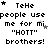 Pixelated text repeats 'TeHe people use me for mi "HOTT" brothers!' with star symbols, arranged in a pattern on black background