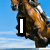 A horse's head in mid-jump against a blue sky with white clouds, overlaid with text elements that change across frames.