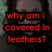 Four- with red text overlays on character images and a pillow, each showing distinct visual elements