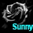 Pixelated grayscale abstract shape with cyan text reading 'Sunny' on black background.