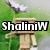 A pixelated character with a box head stands in grassy background, text changes from 'ShaliniW' to 'ls' then 'Awesome'.