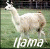 Two static llama images side-by-side with a duck image below, all labeled with text.