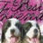 A dog with white and dark fur appears in a of four against a pink patterned background
