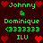 Pixelated green text and red hearts on dark brown background, repeating names 'Johnny & Dominique' with numeric code '(333333)' and 'ILU' in two identical mirrored sections.