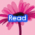 A pink flower with a blue 'Read' label on the left and a person in pink shoes with a purple 'Thiiss!' label on the right.