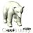 Animated contact sheet of a polar bear icon showing seven sequential frames with varying poses and paw positions, each frame featuring the same white bear on transparent background with "Coolbuddy" text below.