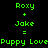 Green pixelated text on black background displays 'Roxy + Jake = Puppy Love' with identical left and right sides.