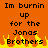Pixelated orange background with black text reading "Im burnin up for the Jonas Brothers" and yellow-orange flames at bottom.