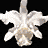 Animated sequence of a white flower icon with orange accents, transitioning through multiple states including text overlays and color variations.