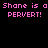 Static pixel art displays pink text on black background repeating 'Shane is a PERVERT!' in two identical horizontal lines.