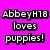 A four- shows a pink background with text, a golden retriever puppy, and a black-and-white puppy