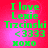 Green pixelated text on a red-pink gradient background reads "I love Lemie Trzcinski <3333 XOXO" with two identical side-by-side